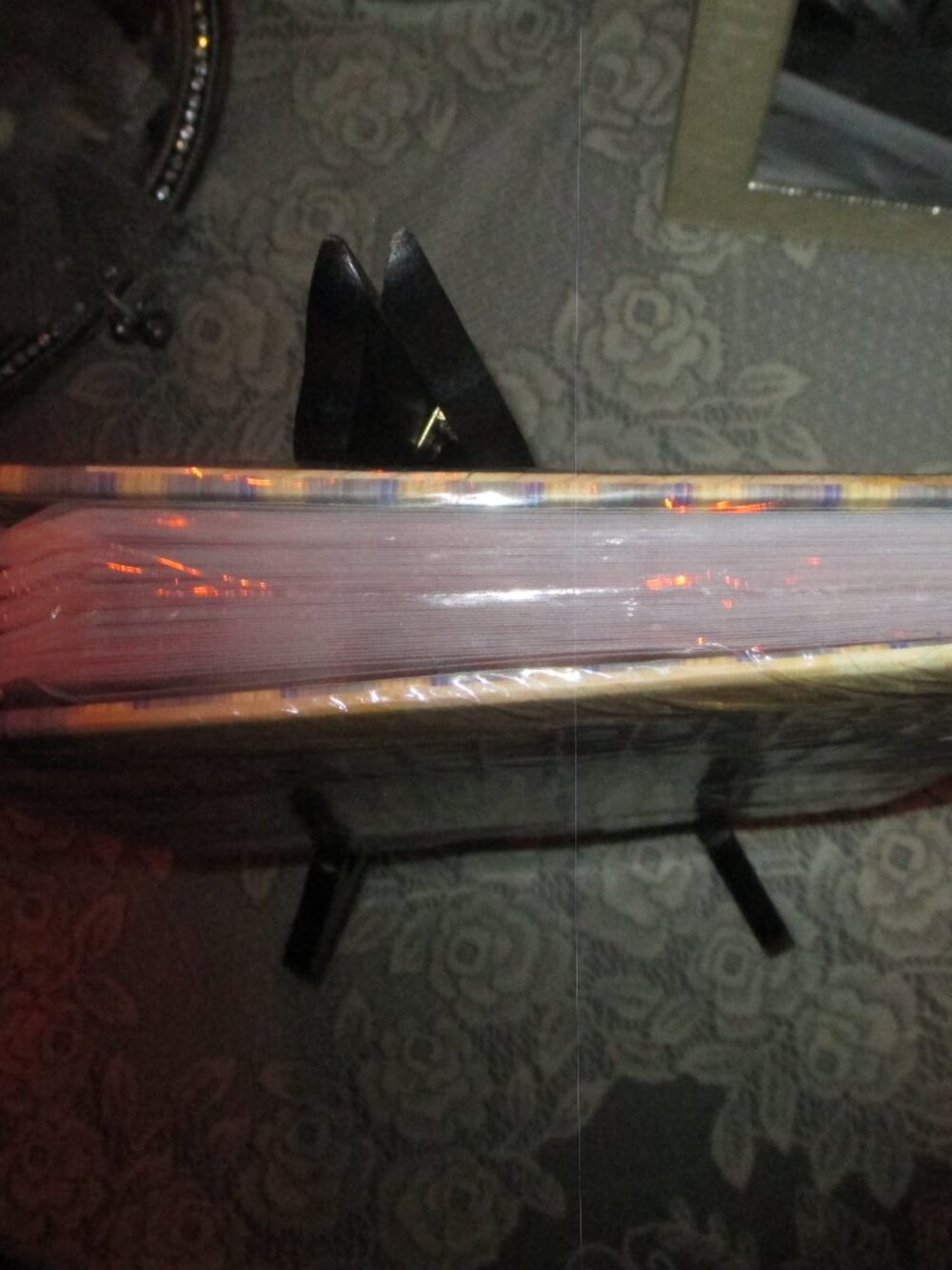 Photo Album - Picture 4 of 5
